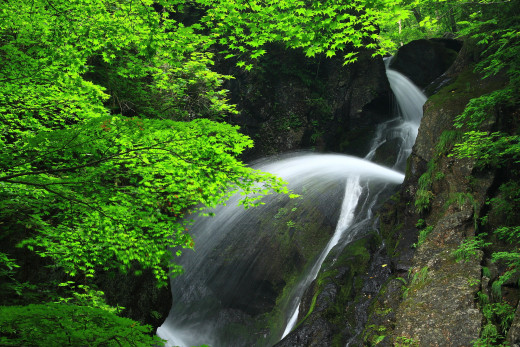 527888 (a): :1920x1280
